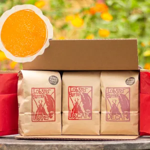 Sunrise to Sunset Pack